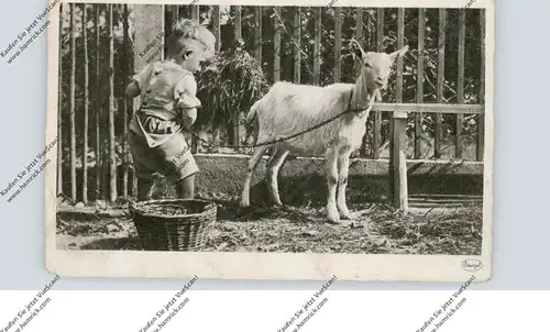 TIERE - ZIEGEN / Goats / Geiten / Chevres, Junge mit Ziege, 1945, deutsche Feldpost