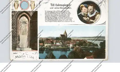VÖGEL - EULEN / Owls / Buho / Hibou / Uil / Gufo - TILL EULENSPIEGEL, Mölln 1915