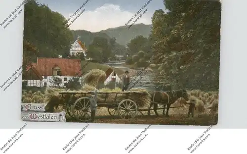 LANDWIRTSCHAFT - Heuernte