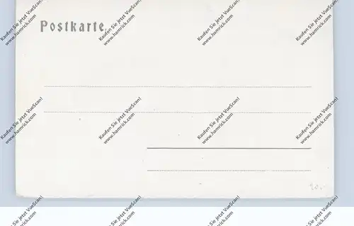 LANDWIRTSCHAFT - Dorfbild i, Thüringer Wald, Ochsenkarren, ca. 1905