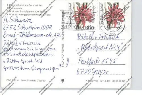 DDR - 1989, Michel 3276 (2),  Blattkaktee Feuerzauber, AK nach Speyer