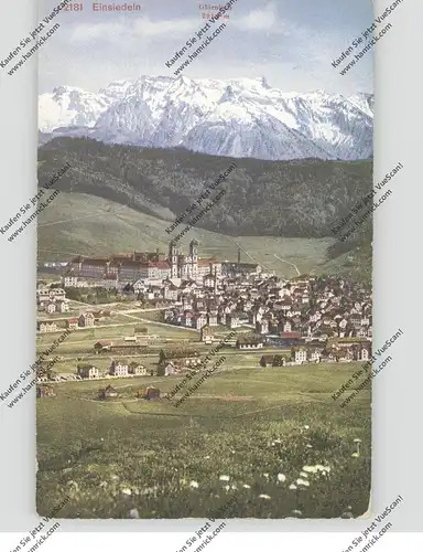 CH 8840 EINSIEDELN SZ, Gesamtansicht, Nebenstempel: Ferienkolonie Oesterr. ung. Kinder in Einsiedeln