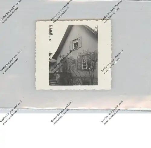 0-1832 PREMNITZ, Kleinphoto Einzelhaus 1953