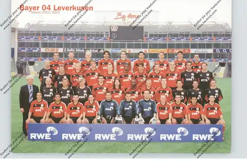 FUSSBALL - BAYER LEVERKUSEN, Mannschaft 2002 / 2003