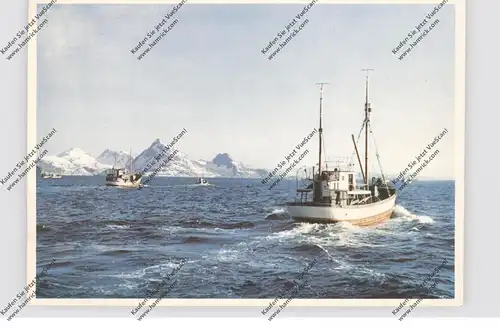 N 8380 LOFOTEN, Fishing fleet