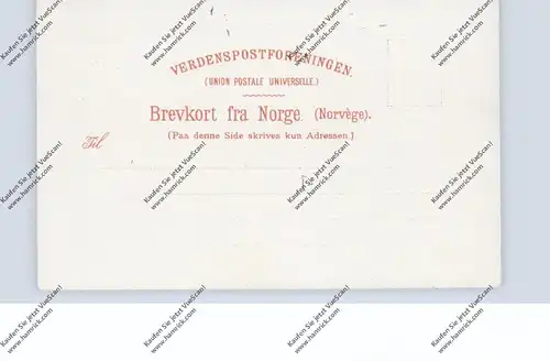 N 5750 HARDANGER, Soer Fjord, Künstler-Karte 1898