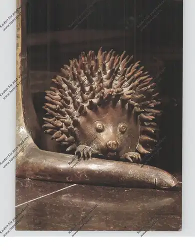 IGEL / Hedgehog / Herisson / Egel / Riccio