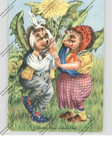 IGEL / Hedgehog / Herisson / Egel / Riccio, Mecki