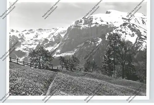 CH 6390 ENGELBERG OW, Blick von Flühmatt