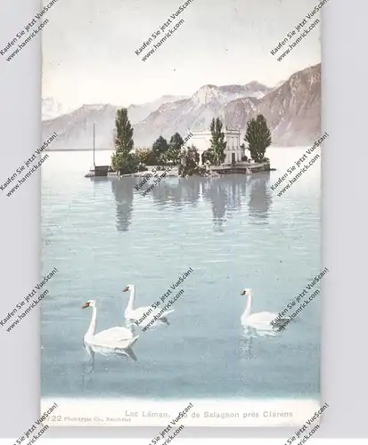 CH 1818 MONTREUX VD, Ile de Salagnon, Ambulant-Stempel