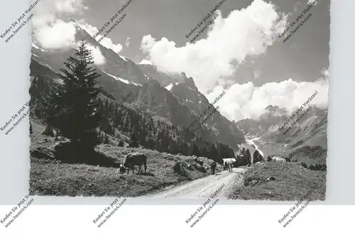 CH 6390 ENGELBERG OW, Am Weg nach Arnialp