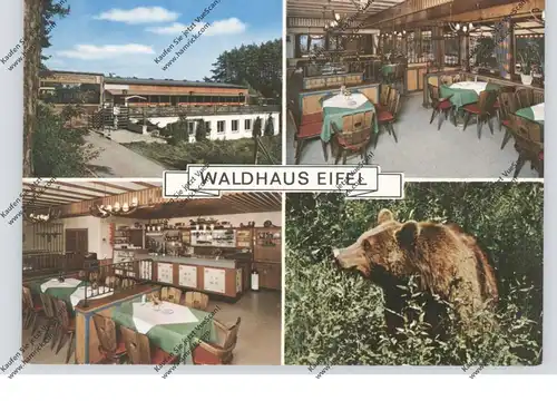 5521 GONDORF, Waldhaus Eifel