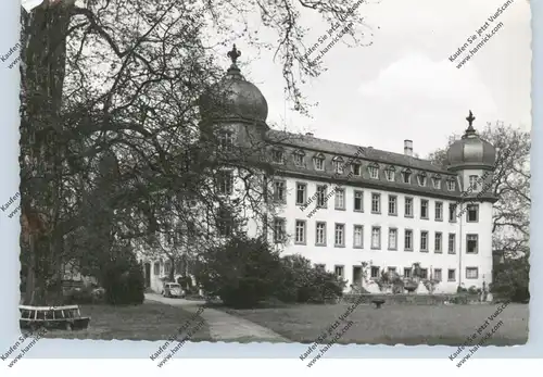 6302 LICH, Schloß, 1960