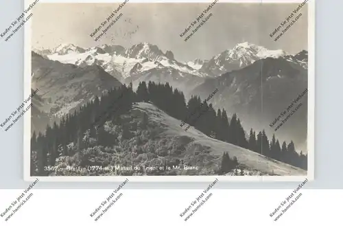 CH 1884 VILLARS-SUR-OLLON VD, Bretaye, 1930, Nebenstempel "Restaurant ....