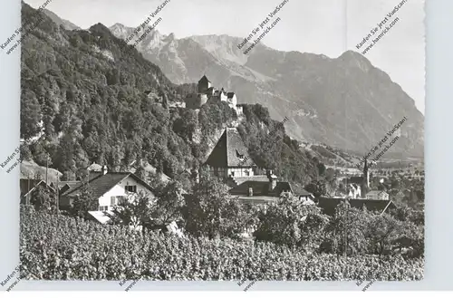 FL 9490 VADUZ, Gesamtansicht
