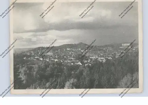 UKRAINE - LEMBERG / LWIW, Gesamtansicht, 1941