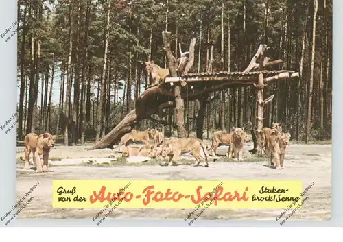 4815 SCHOSS-HOLTE - STUKENBROCK, Safari-Land