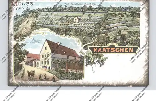 0-5321 GROSSHERINGEN - KAATSCHEN, LIthographie, Gasthof zum Saalthal, Prof. Hendrich's Weinberg