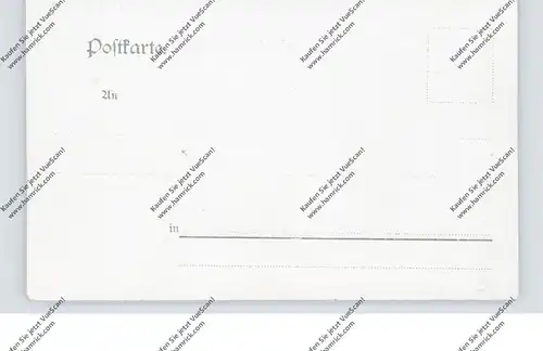 0-5321 GROSSHERINGEN - KAATSCHEN, LIthographie, Gasthof zum Saalthal, Prof. Hendrich's Weinberg