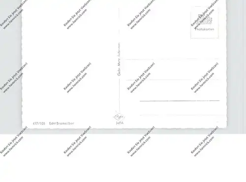 8070 INGOLSTADT, Mehrbild-AK, Theresienstrasse, Hauptstrasse, Neue Donaubrücke, Kreuztor..