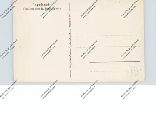 8070 INGOLSTADT, Gesamtansicht mit Stadtmauerpartie