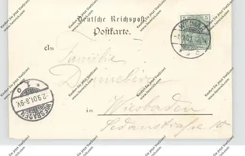 0-5301 ETTERSBURG, Lithographie, Rempels Etablissement, Schloß Ettersburg, Ober-Försterei...