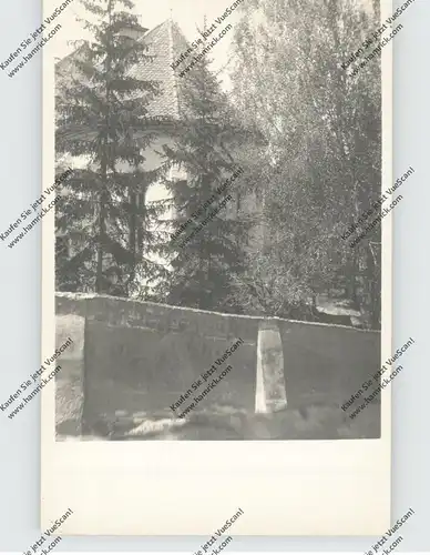 RO 557240 SLIMNIC / STOLZENBURG / Siebenbürgen, Blick in den Stolzenburger Kirchgarten, Photo-AK