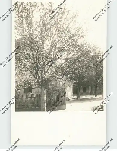 RO 557240 SLIMNIC / STOLZENBURG / Siebenbürgen, Einzelhaus "Meine Wohnung", Photo-AK