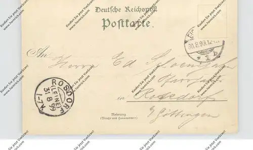 0-5804 FRIEDRICHRODA, Lithographie 1899, Gasthaus Inselsberg, Klostermühle, Reinhardsbrunn..