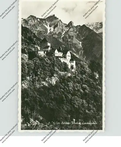 FL 9490 VADUZ, Schloss Vaduz