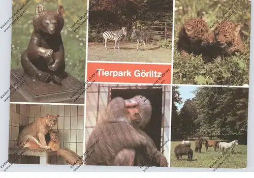 ZOO - GÖRLITZ, Tierpark