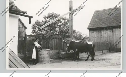 LANDWIRTSCHAFT - Rumänische Bäuerin am Ziehbrunnen, Photo-AK