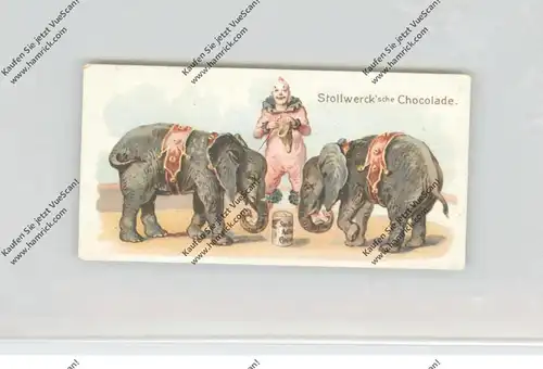 CIRCUS / ZIRCUS, Stollwerck - Sammelbild, Clown, Elefanten