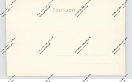 8230 BAD REICHENHALL, Blick von Moltke's Ruhe, ca. 1905, Trenkler
