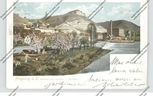 0-4804 FREYBURG / Unstrut, Schlossberg, Schloss und Jahnhaus, 1902