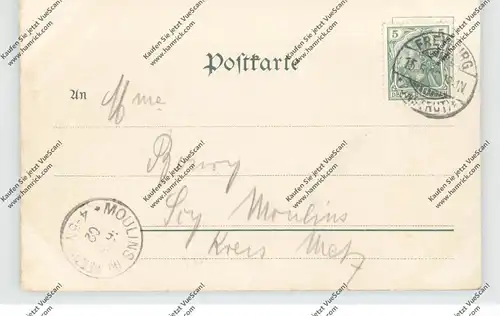 0-4804 FREYBURG / Unstrut, Schlossberg, Schloss und Jahnhaus, 1902