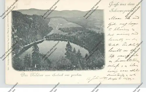 7828 FELDBERG, Feldsee, ca. 1905