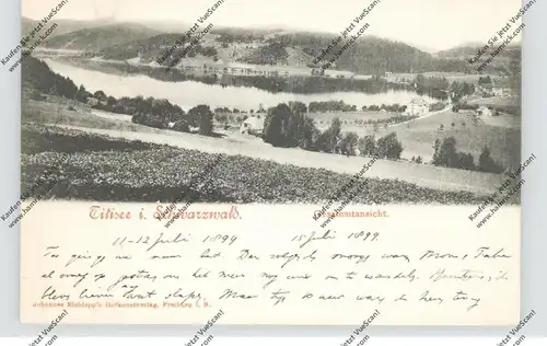 7820 TITISEE-NEUSTADT, Titisee, Gesamtansicht 1899