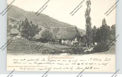 LANDWIRTSCHAFT - Bauernhof im Schwarzwald, ca. 1905
