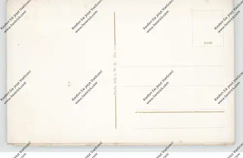 BINNENSCHIFFE - RHEIN, Raddampfer vor Bonn, ca. 1920