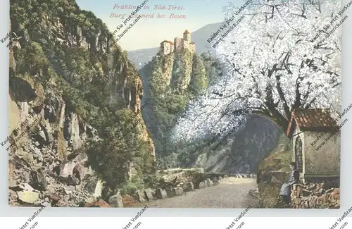 I 39053 KARNEID, Burg Karneid