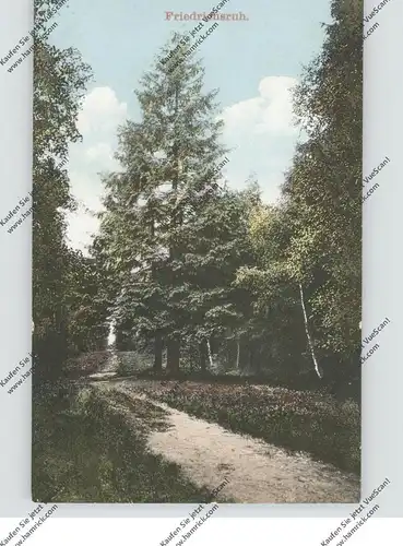 2055 AUMÜHLE - FRIEDRICHSRUH, Waldpartie