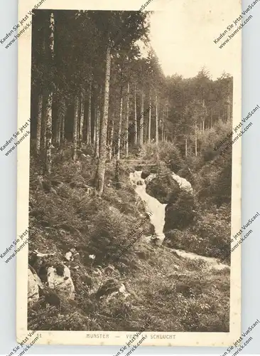 F 57670 MUNSTER, vers la Schlucht, 1919