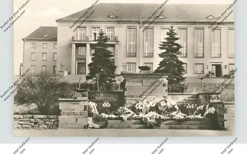 0-9156 OELSNITZ, VVN-Denkmal, Bergabeiter-Clubhaus.., 1956, kl. Druckstelle