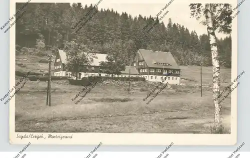 0-9215 SAYDA, Mortelgrund, 1955