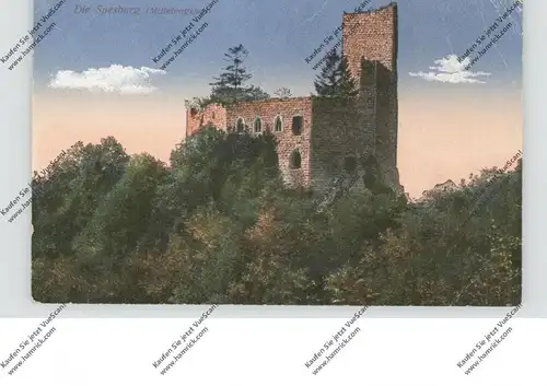 F 67140 ANDLAU, Ruine Spesburg