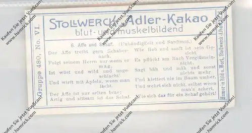 SAMMELBILD - STOLLWERCK - Gruppe 480, No. VI, Affe und Schaf