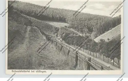 3548 WILLINGEN, Schwalefeldertal