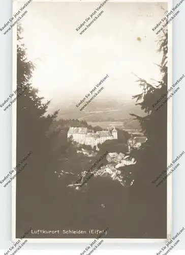 5372 SCHLEIDEN, Blick auf die Burg, 1927