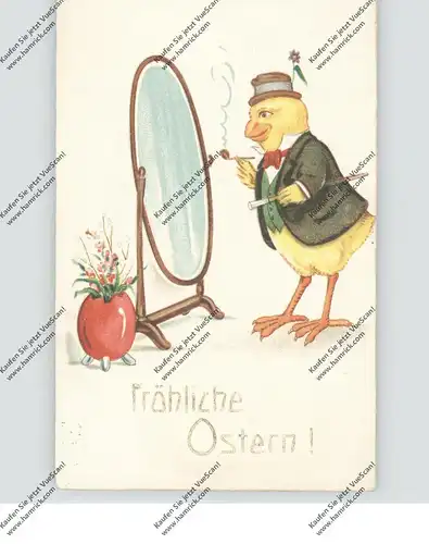 OSTERN - Elegantes Küken vor einem Spiegel